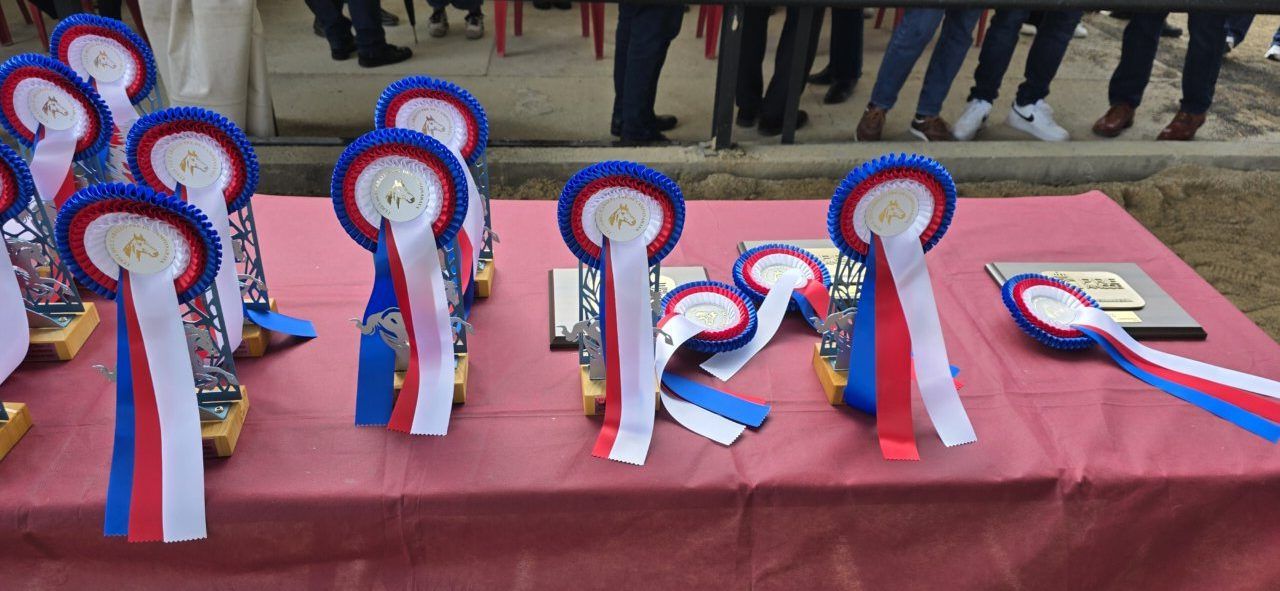 Premios y trofeos en una mesa durante un evento