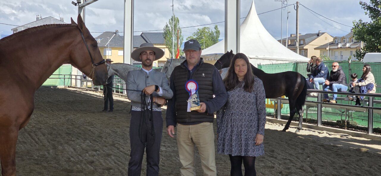 Entrega de premios en un evento ecuestre con caballos