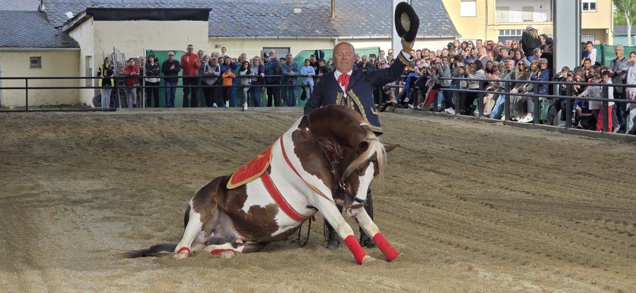 Un hombre con sombrero presenta un caballo en una exhibición