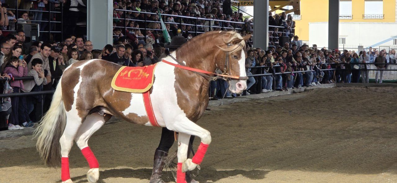 Caballo con montura en un evento con público observando