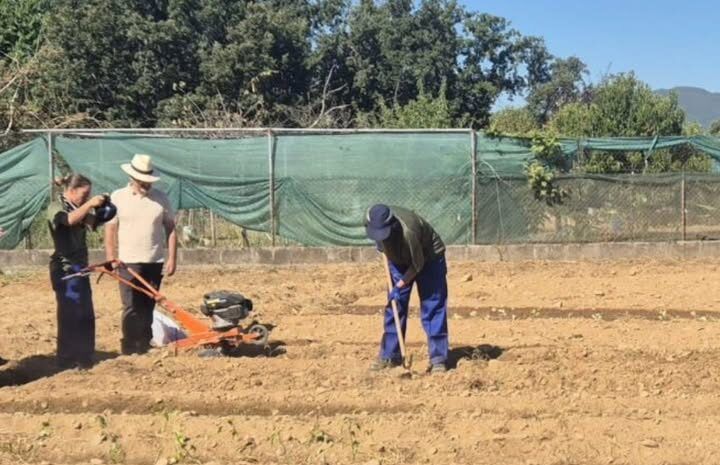 Personas trabajando en un campo con maquinaria agrícola en el Bierzo