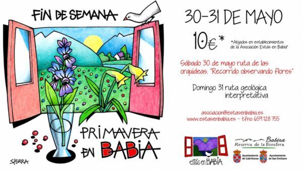 Cartel de evento sobre primavera en Babia con flores y montañas