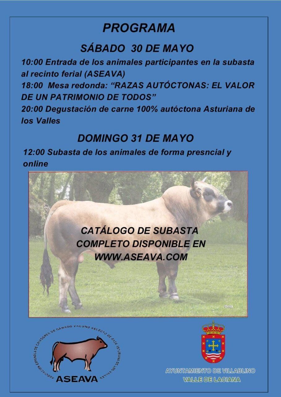 Programa de la Subasta Nacional de Asturiana de los Valles en Villablino