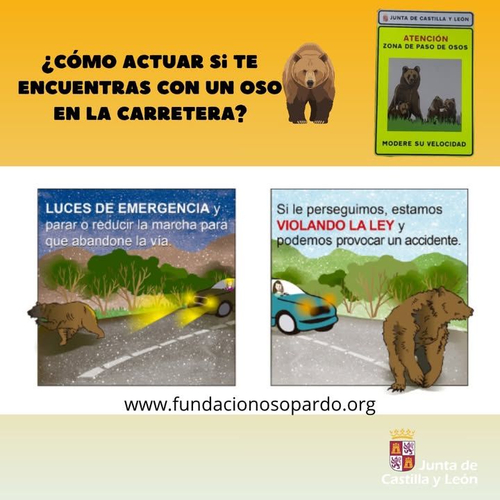 Señales de advertencia sobre osos en la carretera en Villablino