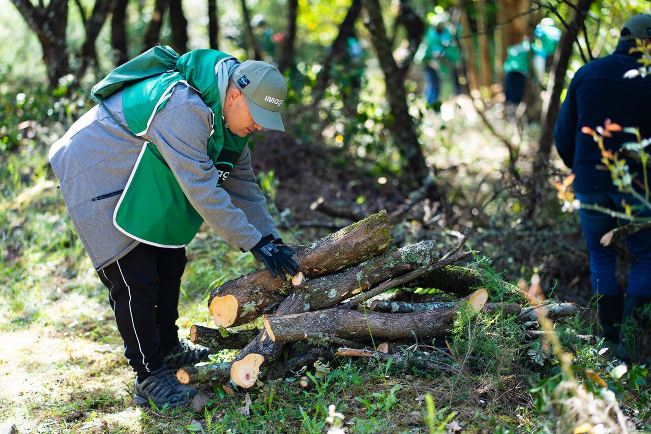 Usuario de Asprona Bierzo recogiendo troncos en jornada de voluntariado ambiental