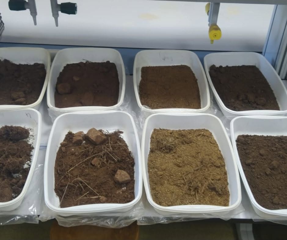 Muestras de suelo en recipientes para análisis en laboratorio