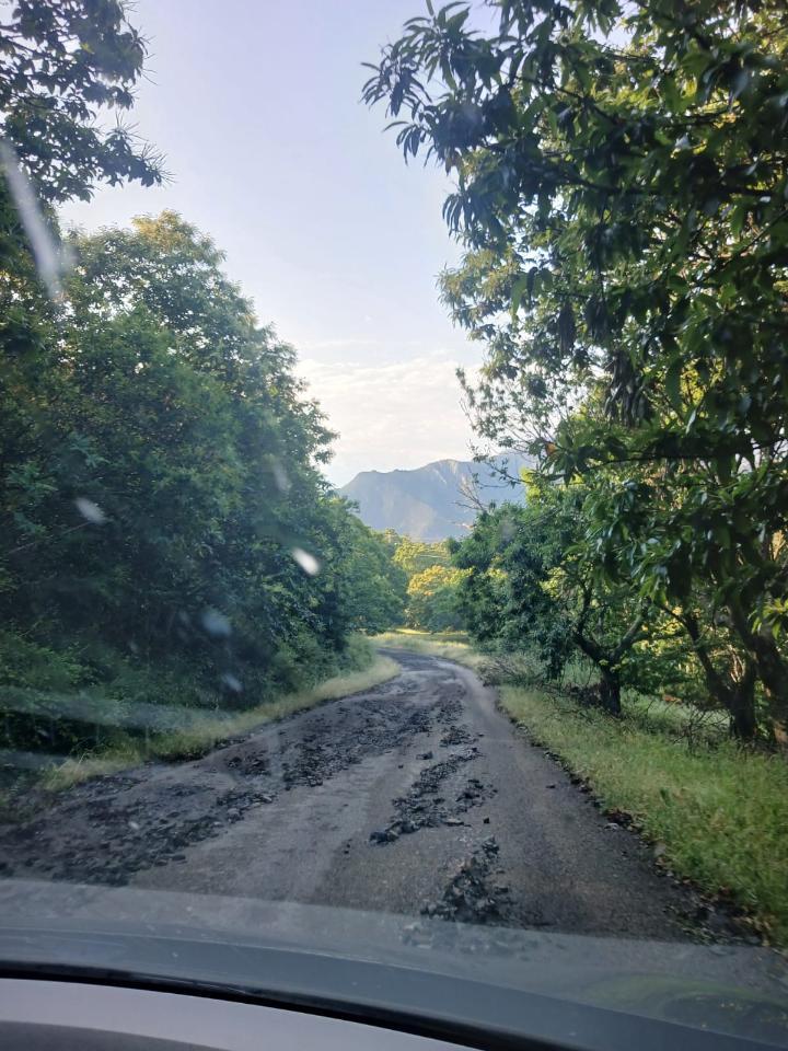 Carretera afectada por desprendimientos en Oencia tras tormentas intensas