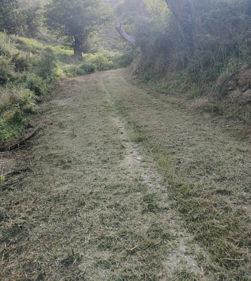 Camino desbrozado en el entorno rural de Valdueza