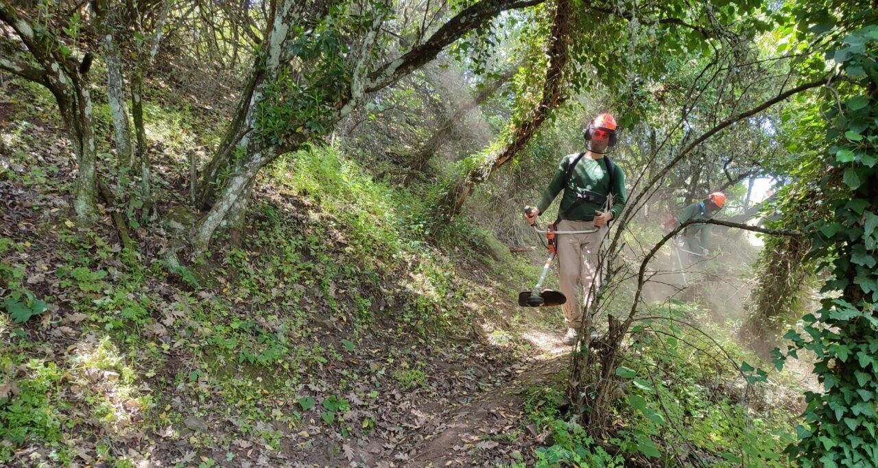 Trabajador realizando labores de desbroce en un sendero forestal