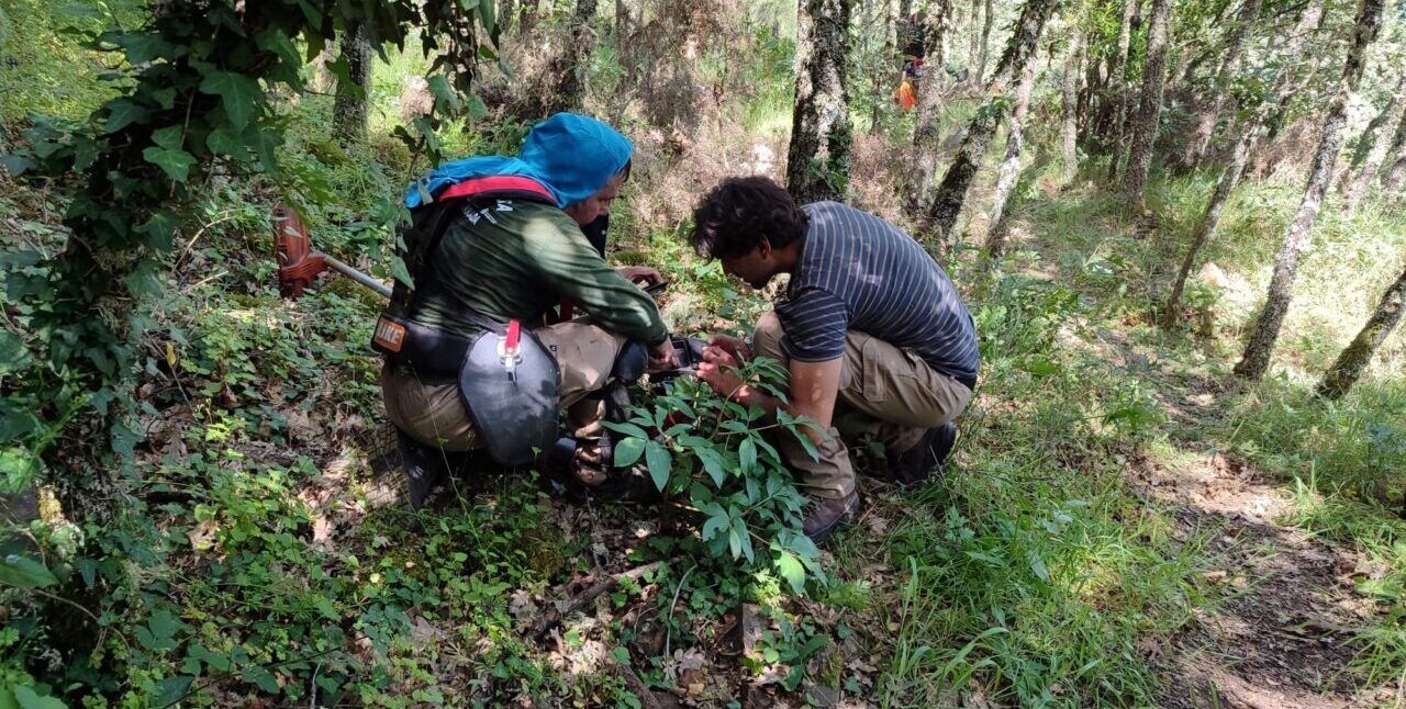 Dos personas trabajando en la recuperación ambiental en un bosque