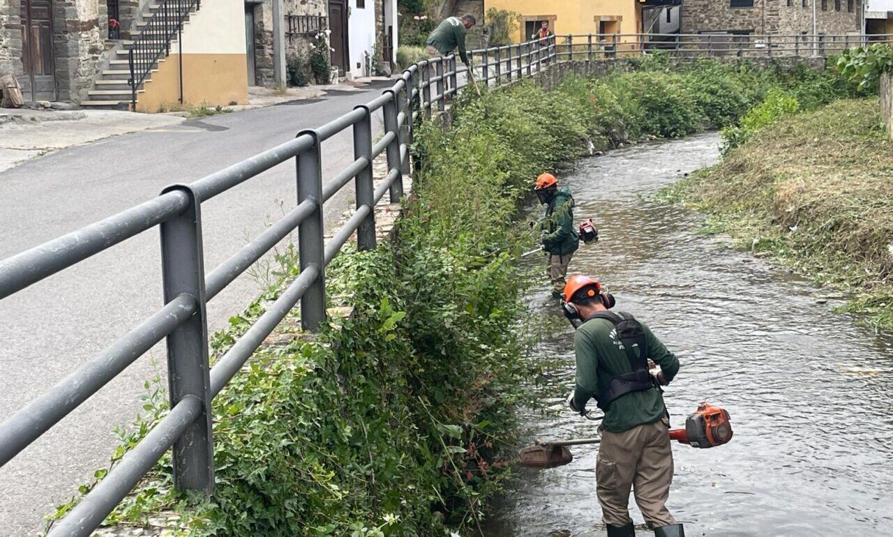 Trabajadores desbrozando la ribera del río Oza en Valdefrancos