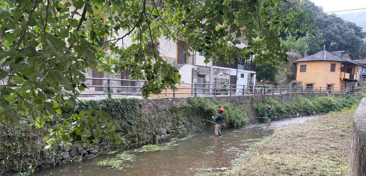 Trabajos de desbroce en la ribera del río Oza en Valdefrancos