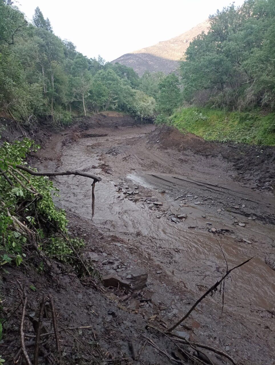 Vista del cauce afectado por la tormenta en Faro con lodo y vegetación