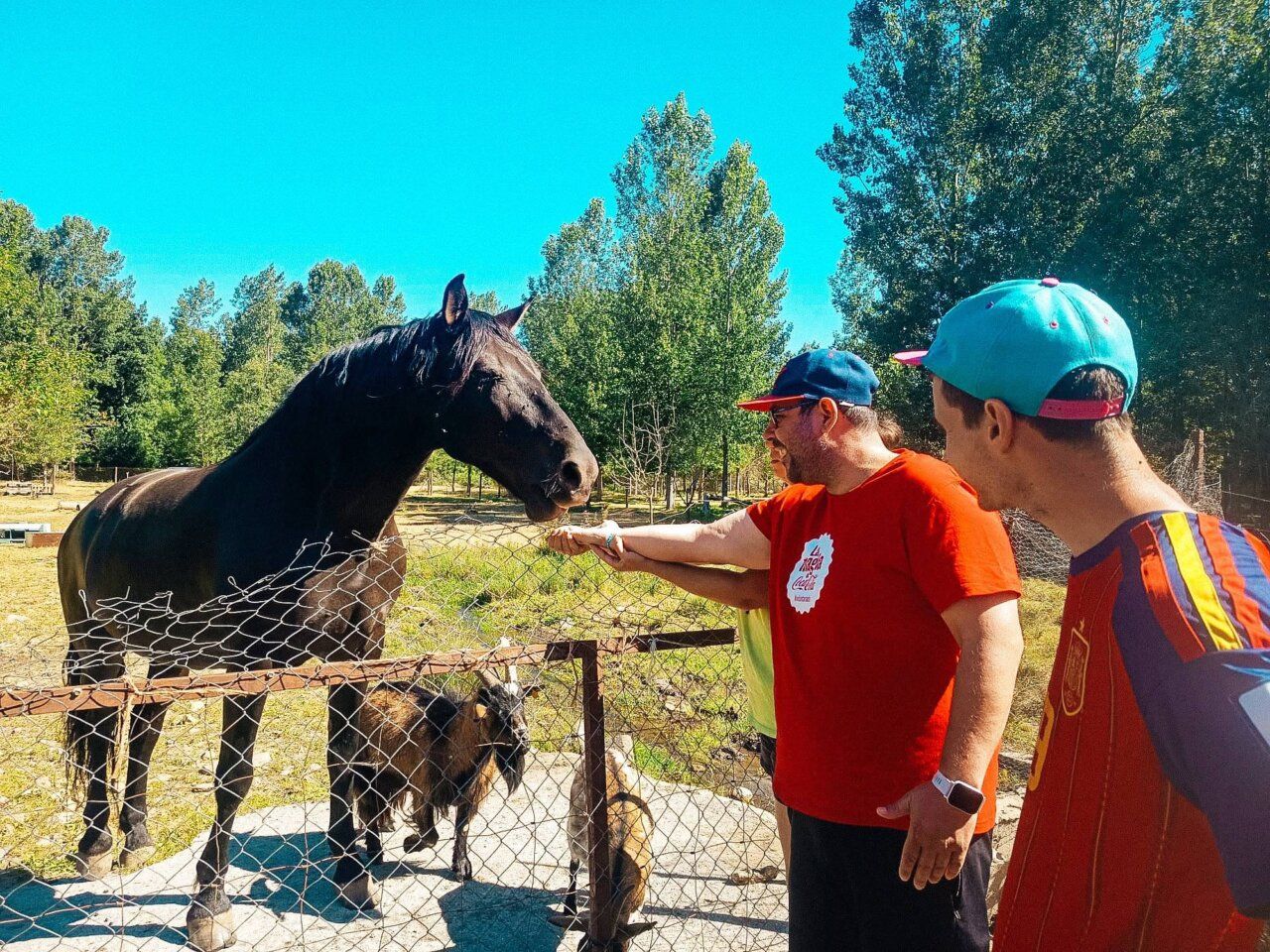 Participantes de Asprona Bierzo interactuando con un caballo en la Finca Fiyuelo