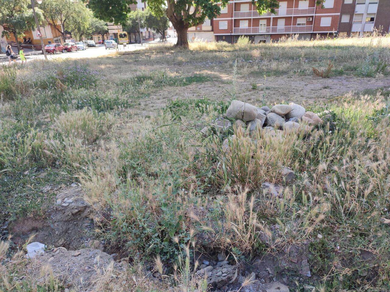 Parcela descuidada en Ponferrada con vegetación alta y piedras