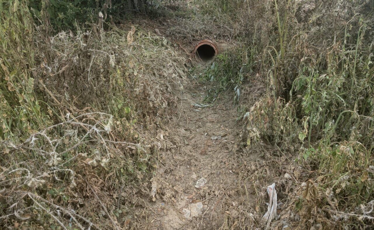 Tubería de desagüe en un entorno descuidado y con maleza
