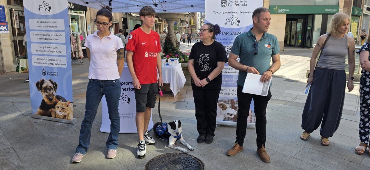 Evento de sensibilización sobre adopción de perros en Ponferrada