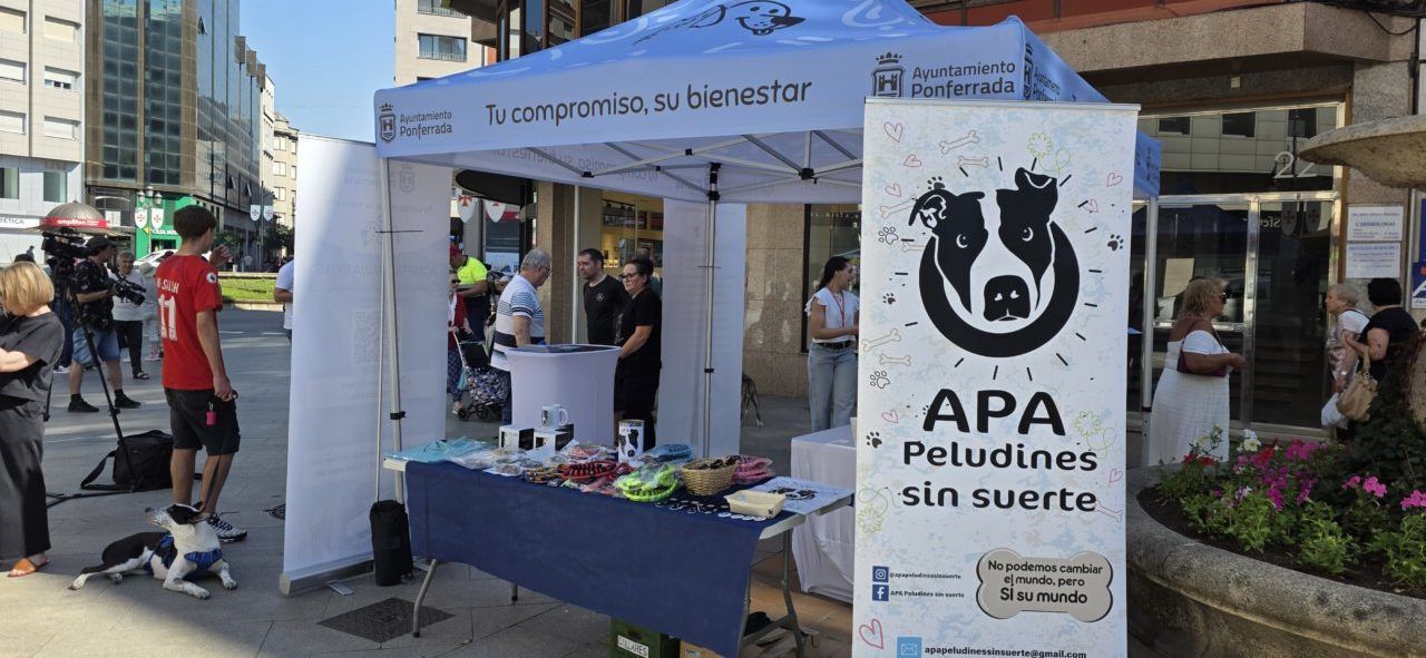 Stand del albergue canino en Ponferrada durante un evento de sensibilización