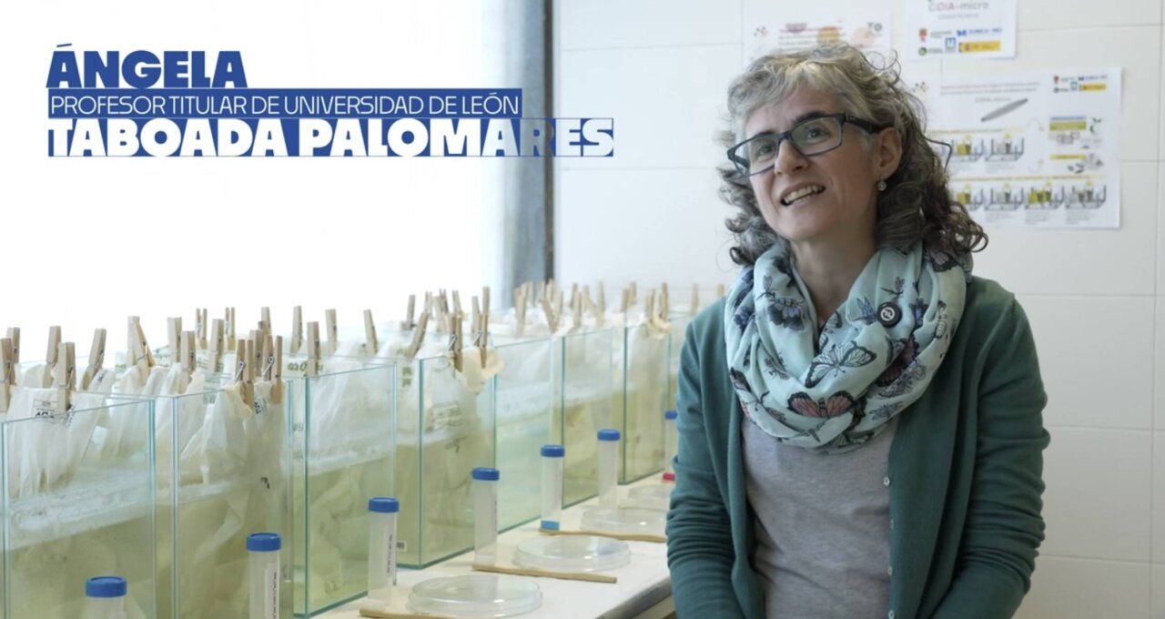 Ángela Taboada, investigadora del proyecto CiDIA-micro en laboratorio