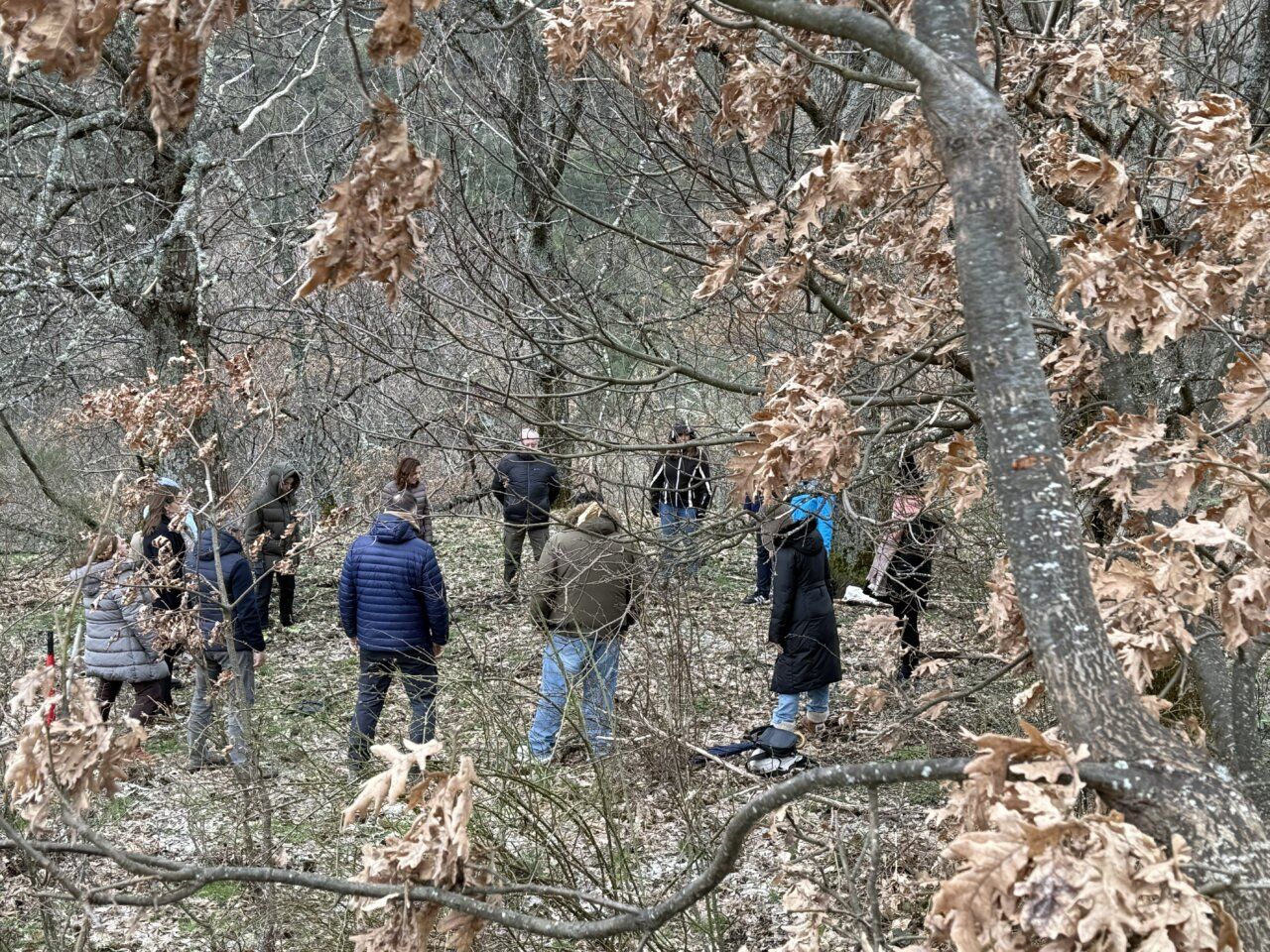 Grupo de personas participando en un baño de bosque en el Bierzo