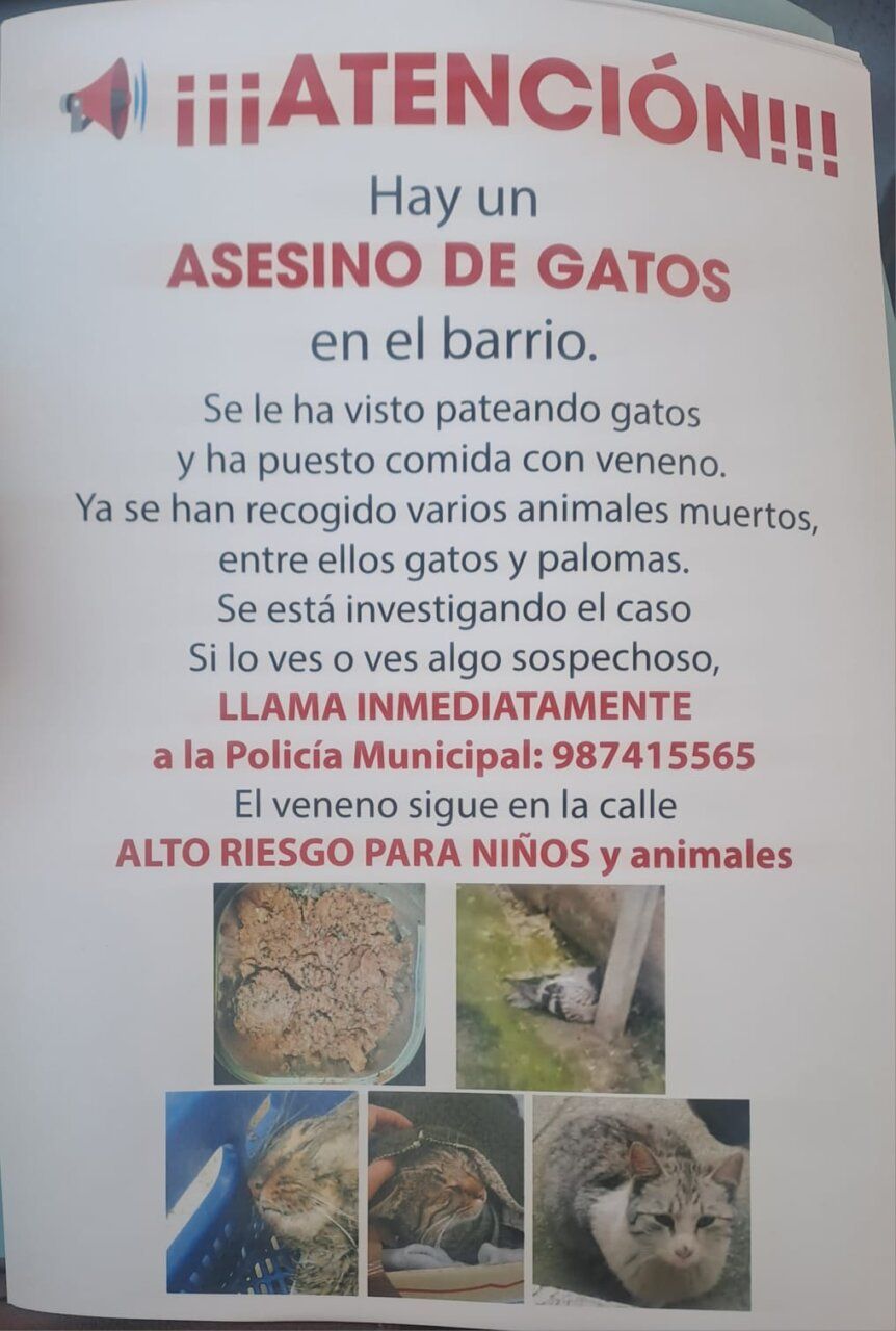 Cartel de alerta sobre envenenamiento de gatos en el barrio de los Judíos