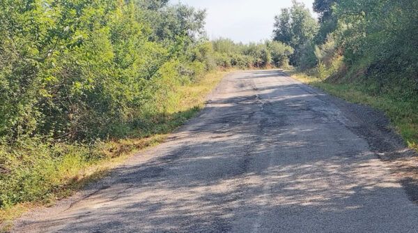 Carretera en mal estado en Castropodame rodeada de vegetación