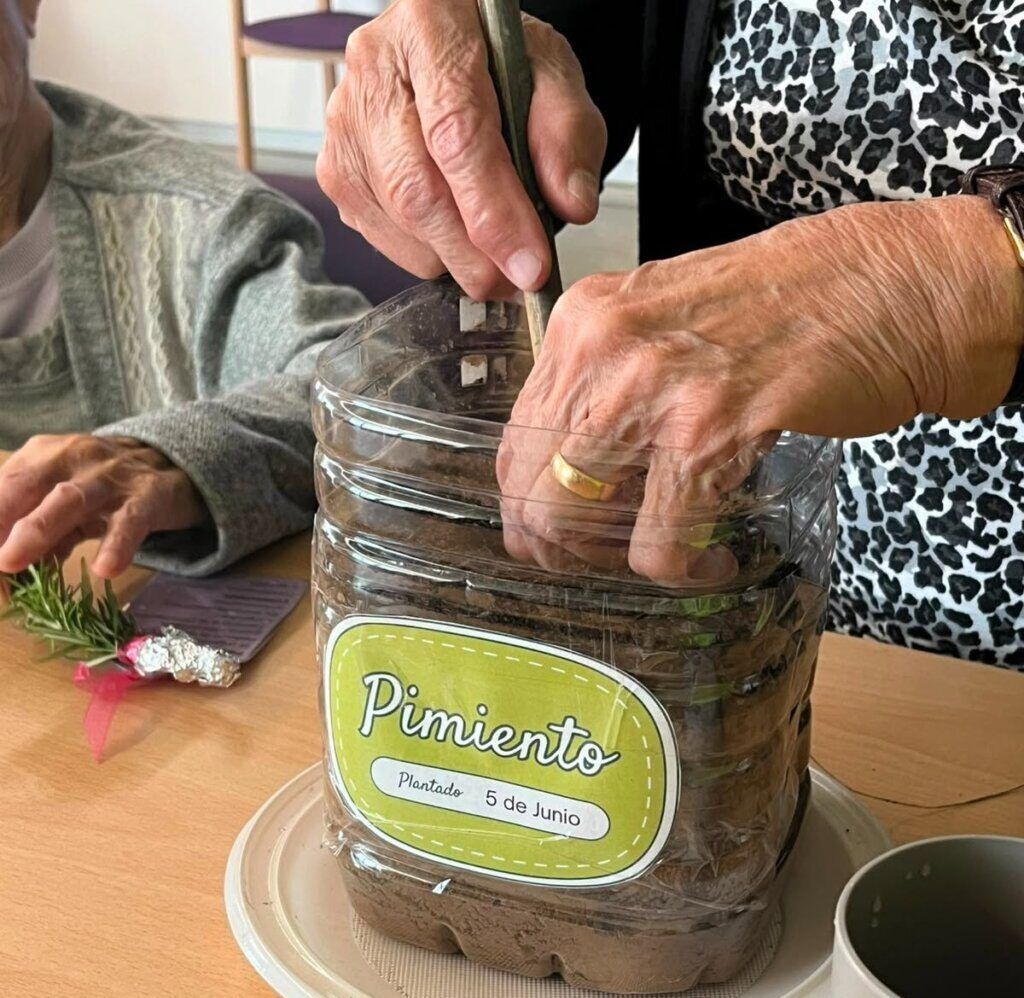 Manos plantando pimientos en un recipiente en el Centro de Día de Camponaraya