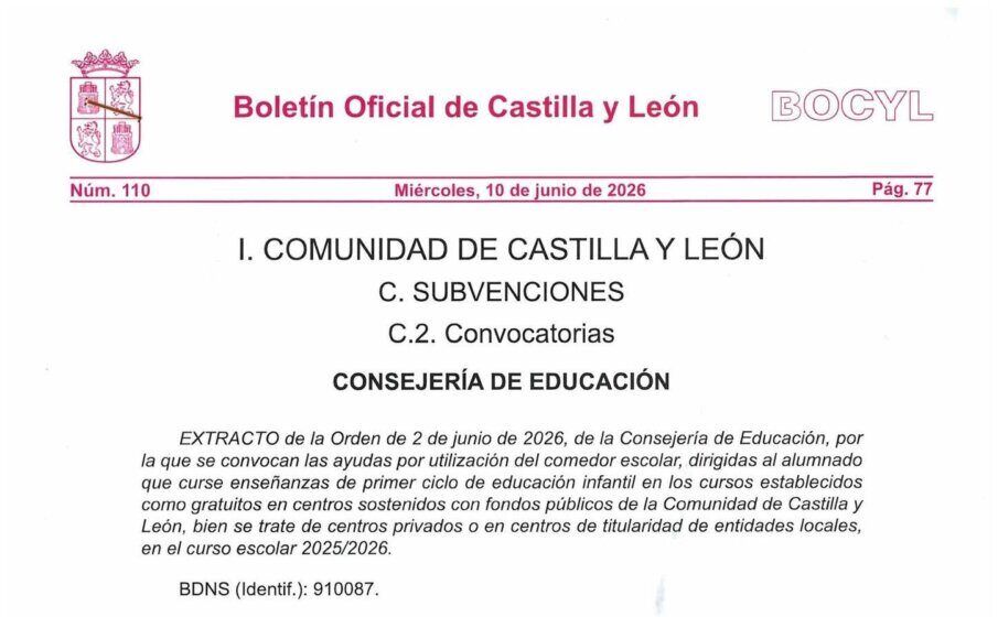 Extracto del Boletín Oficial de Castilla y León sobre ayudas al comedor escolar