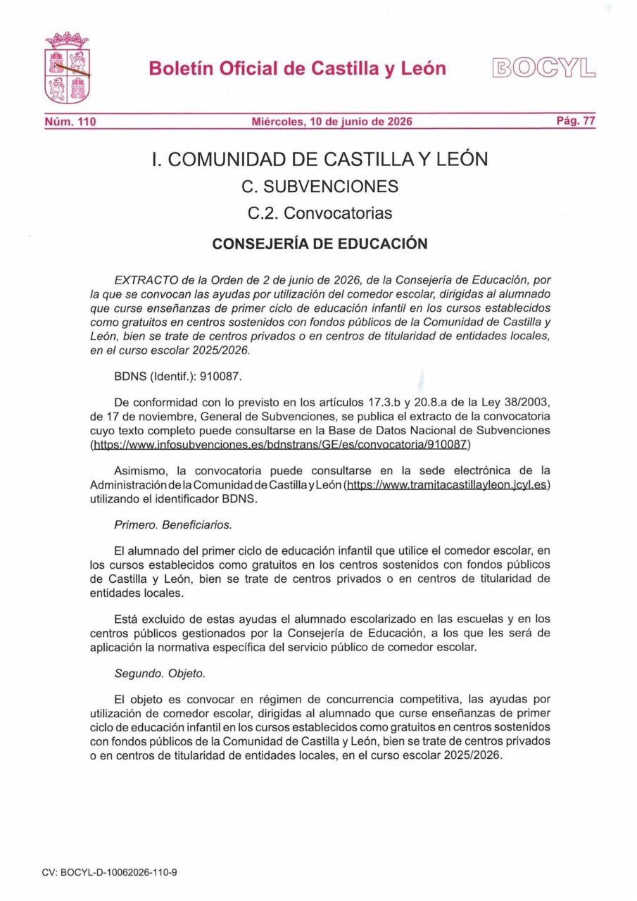 Extracto del Boletín Oficial de Castilla y León sobre ayudas al comedor escolar