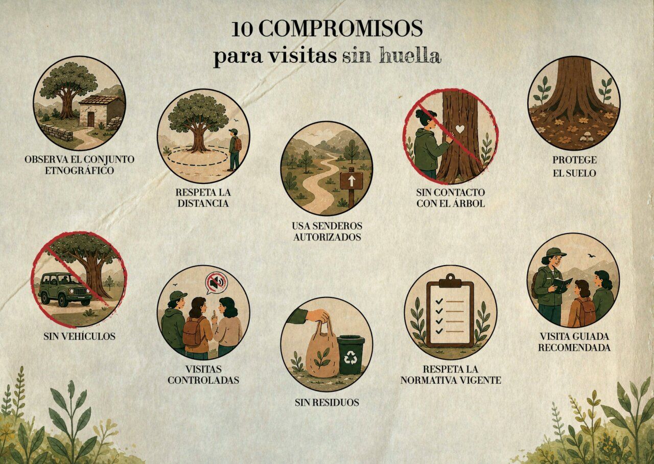 Infografía sobre compromisos para visitas sin huella en Ponferrada