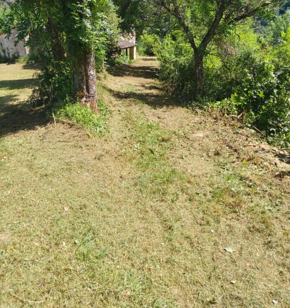 Camino desbrozado en Valdueza rodeado de vegetación