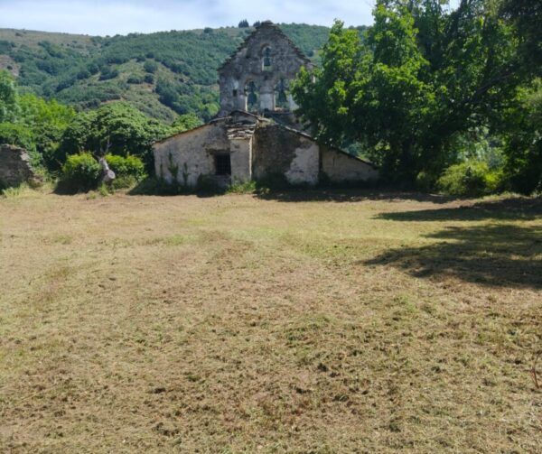 Vista de un edificio en ruinas rodeado de vegetación tras desbroce en Valdueza