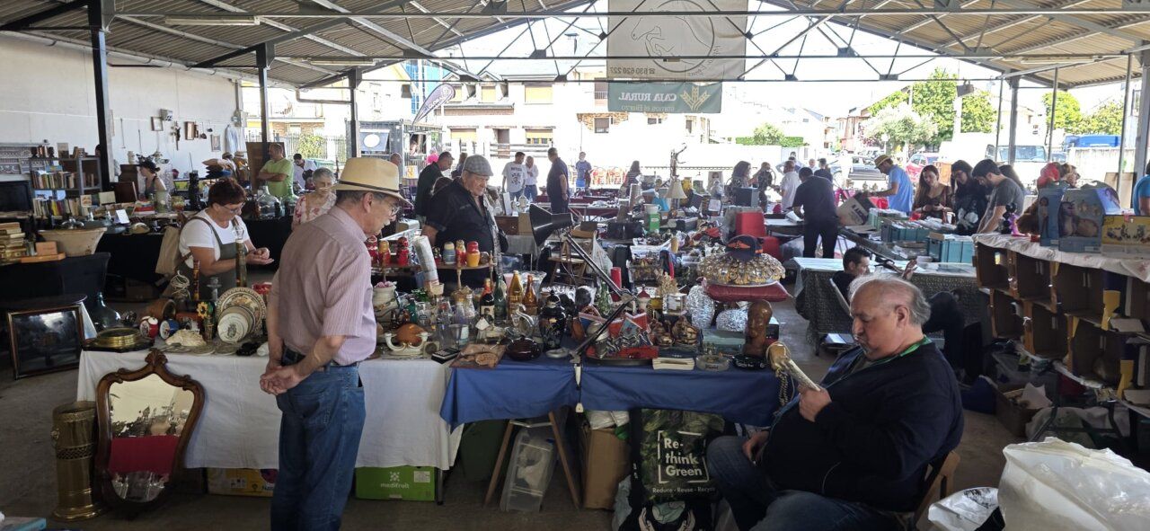 Visitantes explorando puestos en la feria de antigüedades y coleccionismo