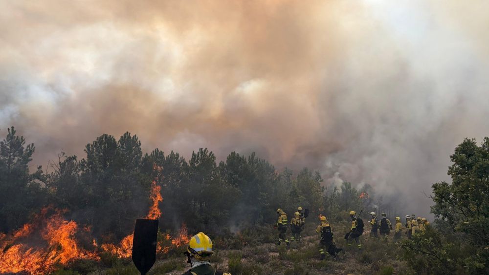 Bomberos trabajando en el incendio forestal de San Vicente de Arganza
