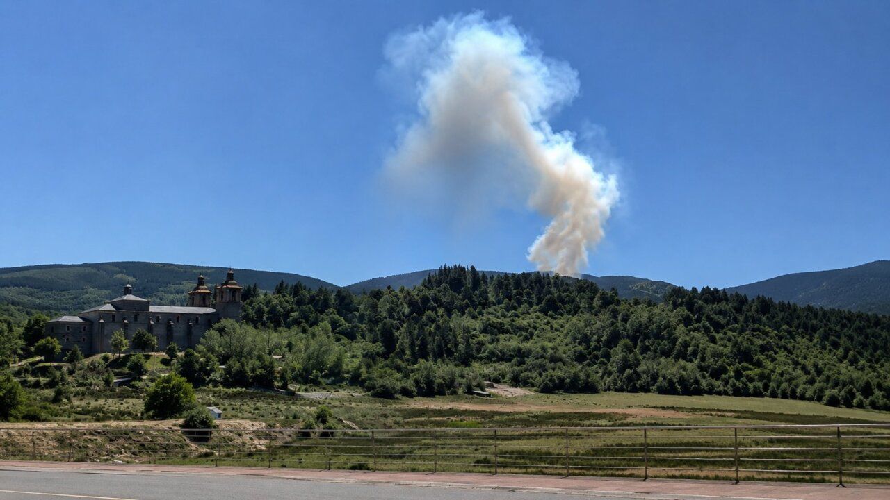 Humo de un incendio forestal en Sancedo, Bierzo, con vegetación al fondo