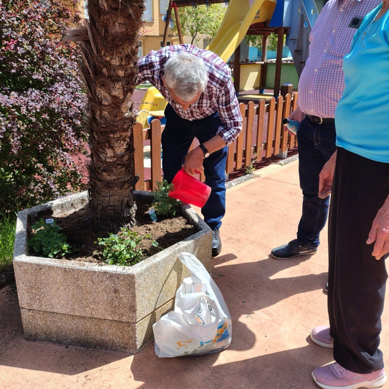 Personas mayores y niños plantando en un jardín intergeneracional