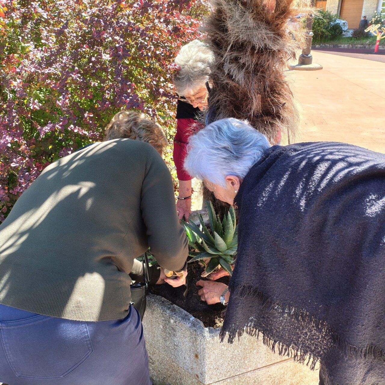 Personas mayores plantando en un jardín intergeneracional en El Bierzo
