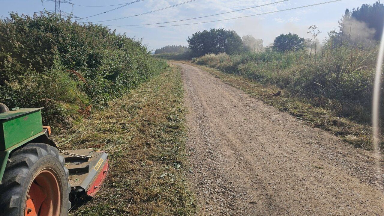 Camino de tierra mantenido en San Andrés de Montejos con vegetación a los lados