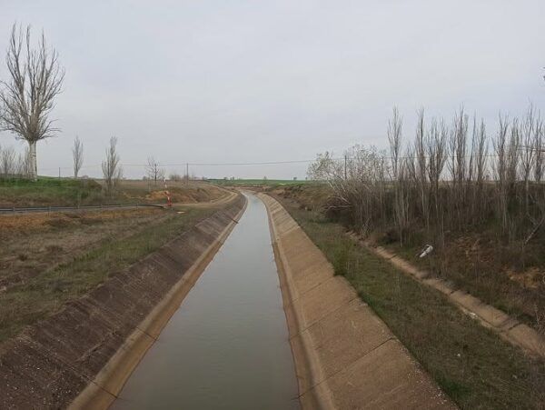 Canal de riego en la Margen Izquierda del Porma con vegetación al fondo