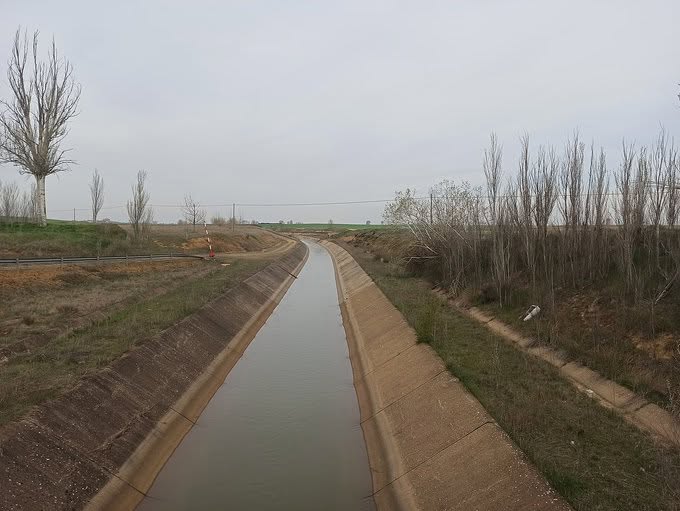 Canal de riego en la Margen Izquierda del Porma con vegetación al fondo