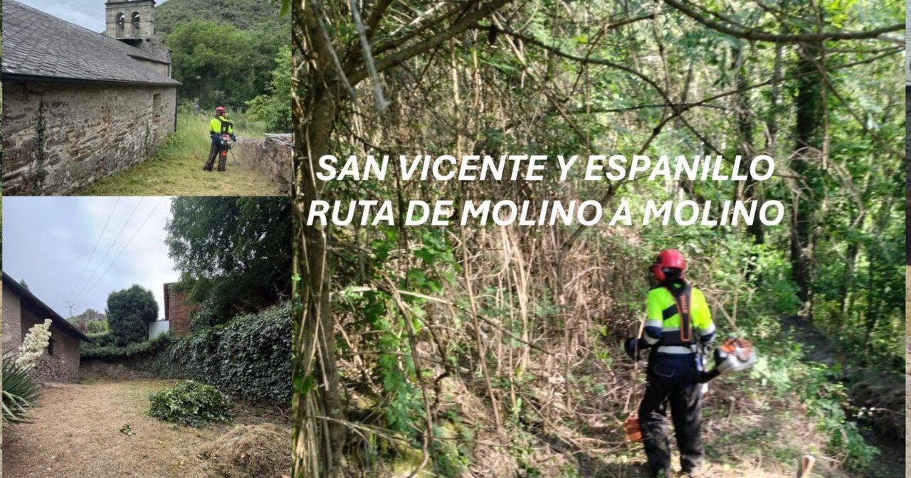 Alumnos realizando trabajos de desbroce en la ruta de Molino a Molino