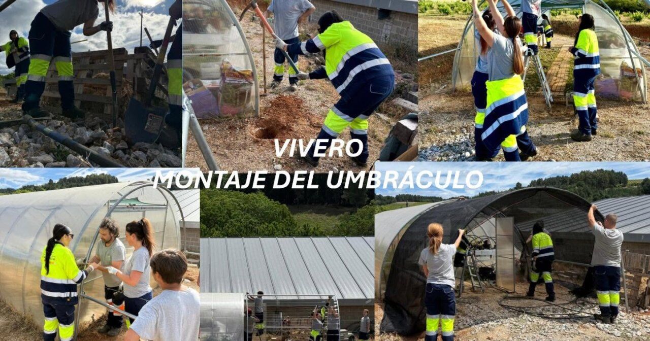 Alumnos trabajando en el montaje de un umbráculo en el vivero.