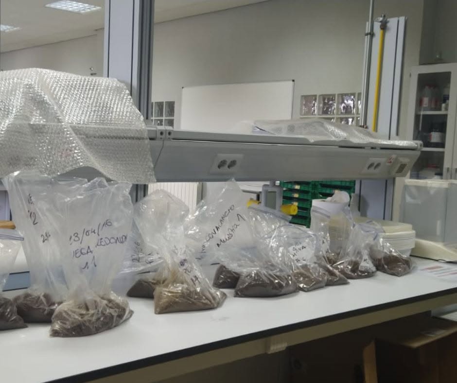 Muestras de suelo en bolsas para análisis en laboratorio