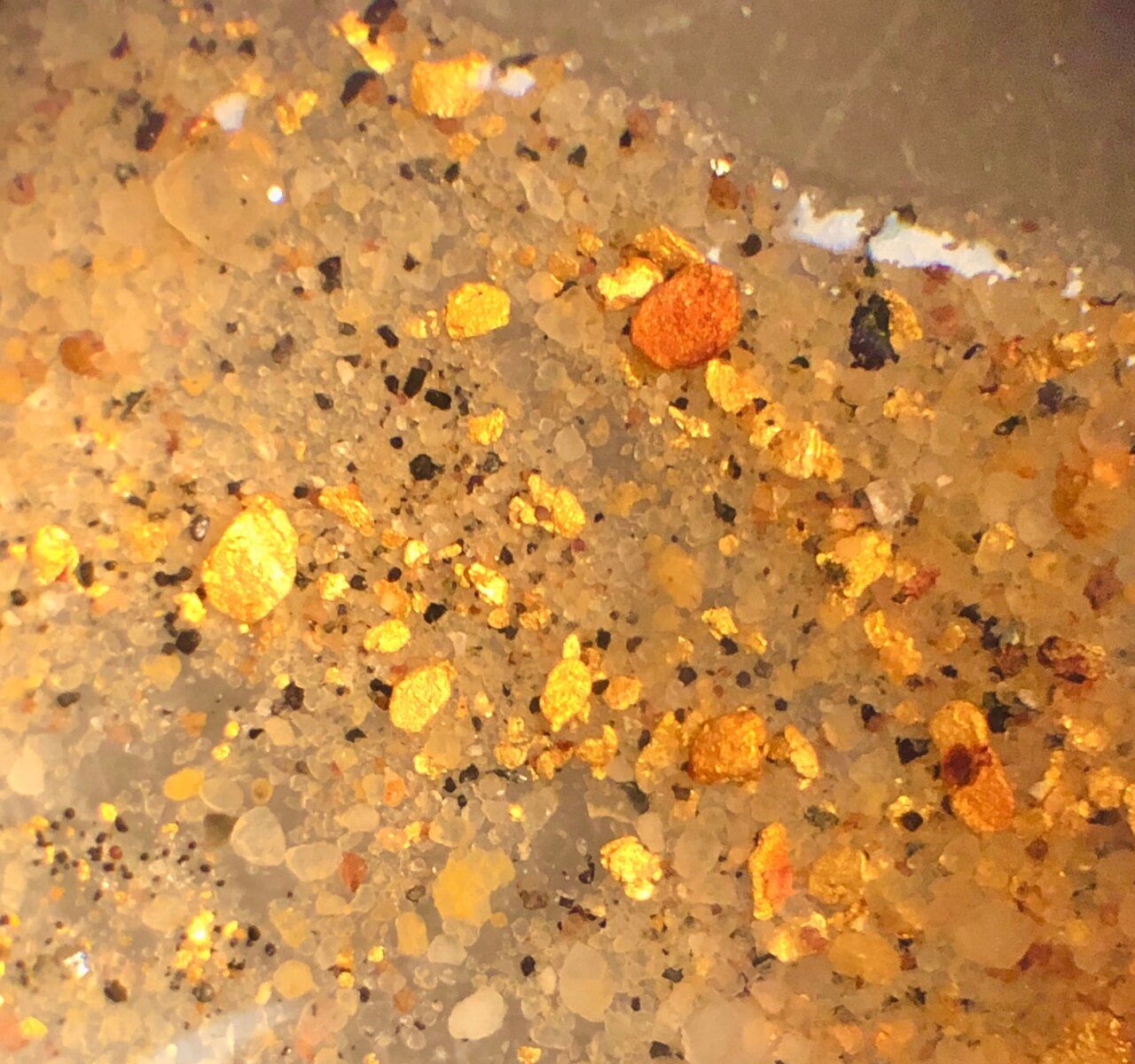 Granos de oro sobre una superficie arenosa con reflejos brillantes