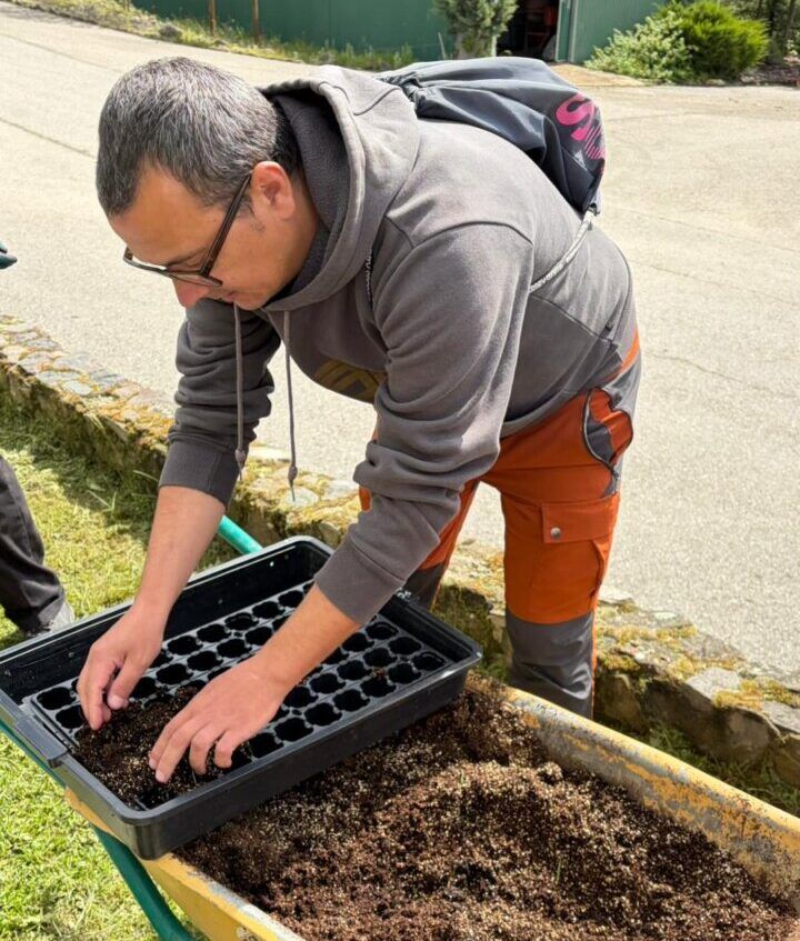 Persona sembrando en un vivero durante una actividad formativa
