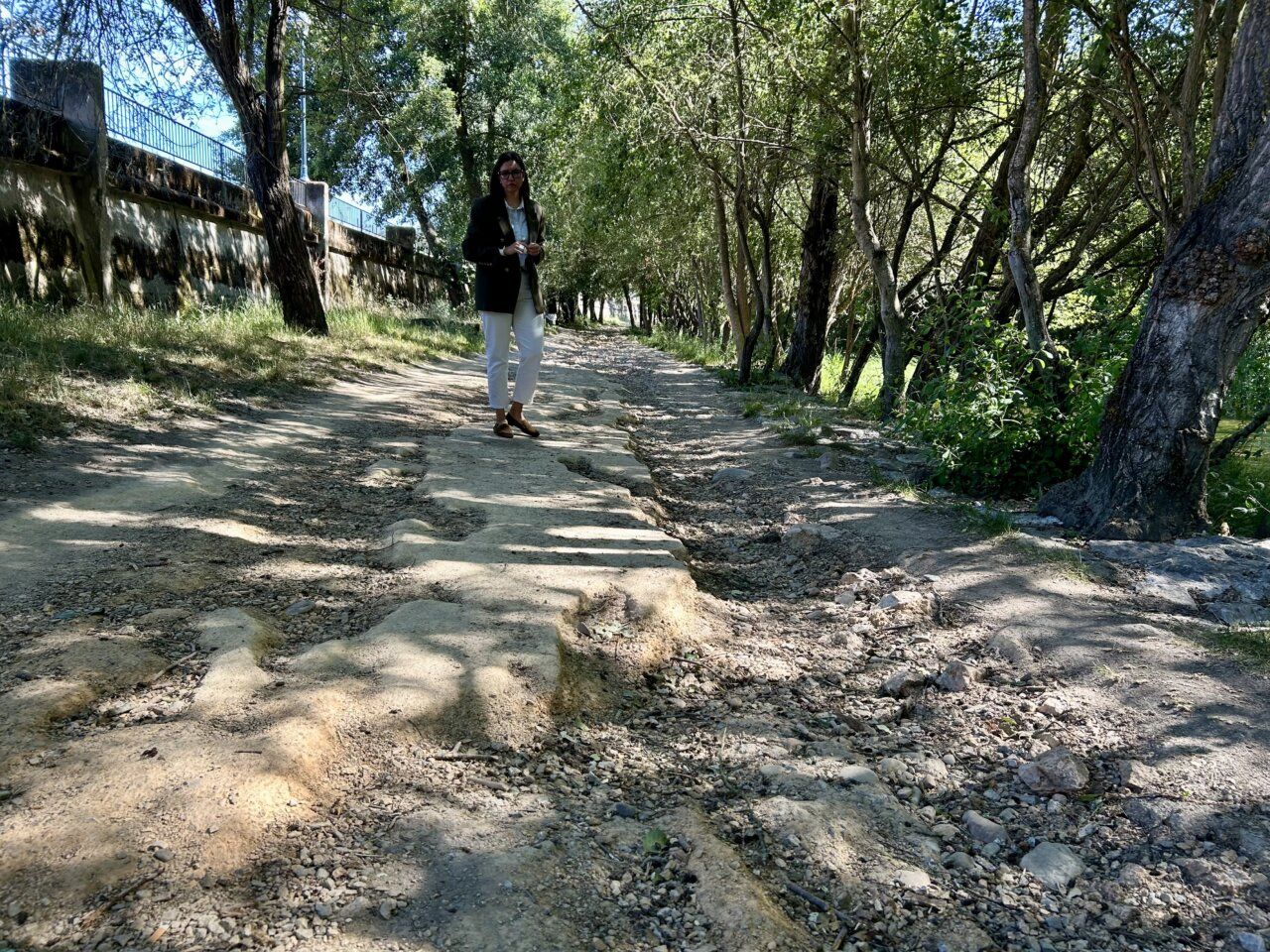 Camino dañado en el Paseo del Río de Ponferrada con árboles alrededor