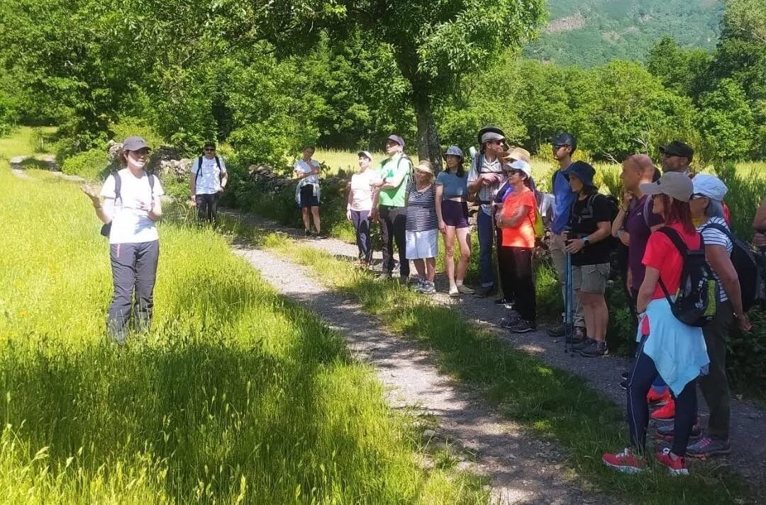 Grupo de personas participando en una ruta de senderismo en Laciana
