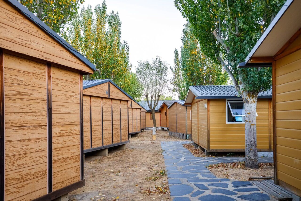 Vista de bungalows en el nuevo camping de Sancedo rodeados de árboles