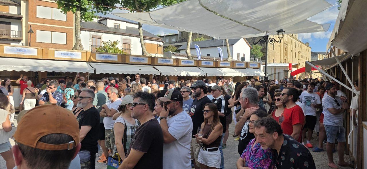 Multitud de personas disfrutando en un evento musical al aire libre