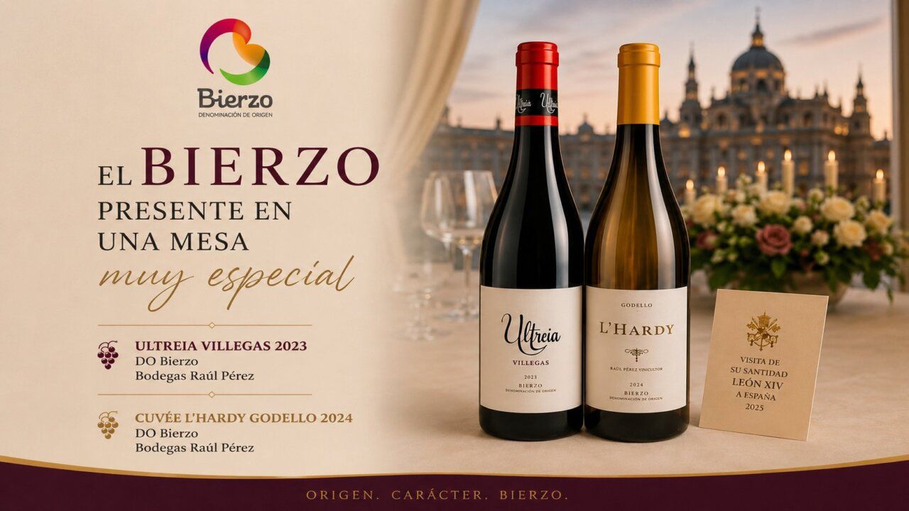 Dos botellas de vino berciano en una mesa elegante